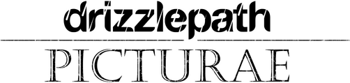 Drizzlepath: Picturae Logo