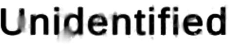 Unidentified Logo