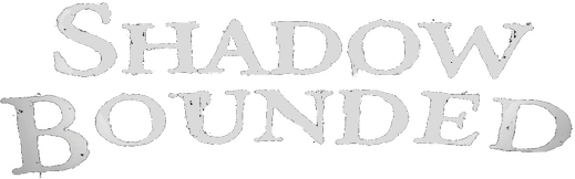 Shadow Bounded Logo