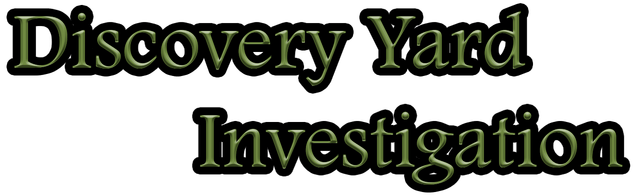 Discovery Yard Investigation Logo
