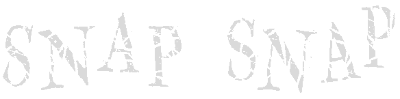 SNAP SNAP Logo
