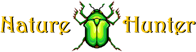 Nature Hunter Logo