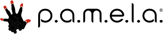 P.A.M.E.L.A. Logo