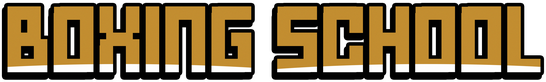 Boxing School Logo